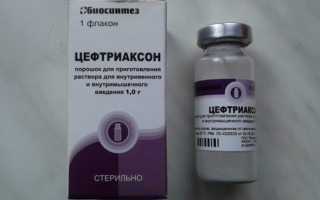 Лечение кота цефтриаксоном