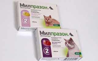 Антигельминтный препарат для котят кошек до 2 кг KRKA Милпразон 2*4/10 мг
