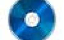 Лечение желудка кошкам