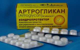 Артрит у кошек и котов