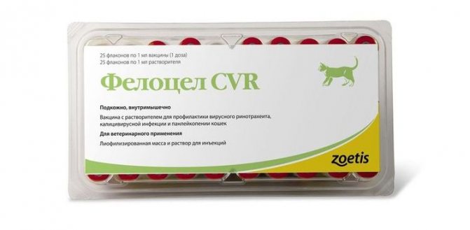 Фелоцел - вакцина для кошек и котов