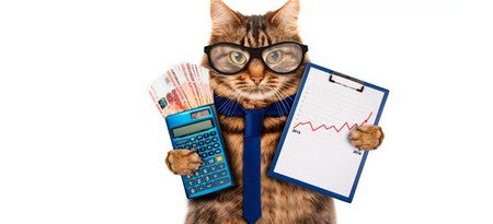 Где купить корм для кошек