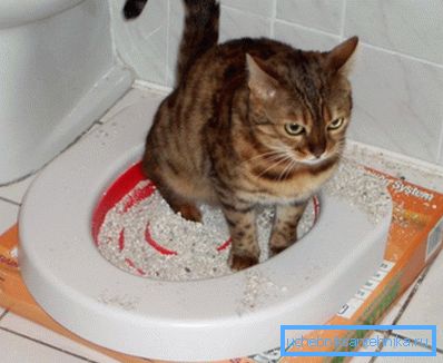Комкующийся наполнитель который можно смывать в унитаз