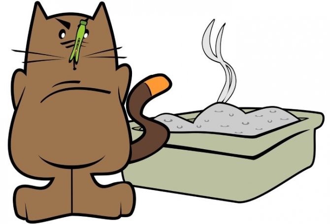 кошачий туалет и неприятный запах