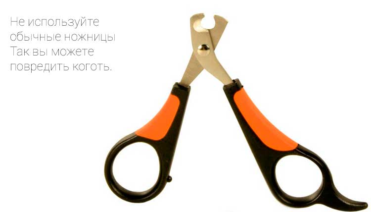 Кусачки-когтерезки