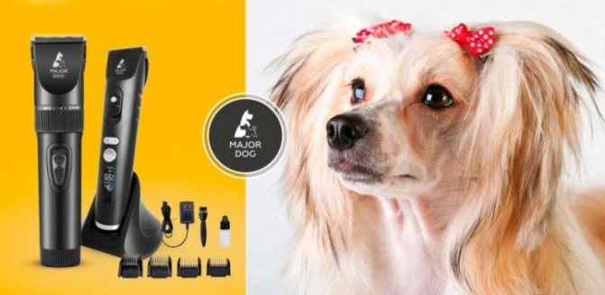 Major Dog Hunfrise H22 фото
