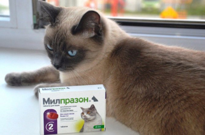 Милпразон