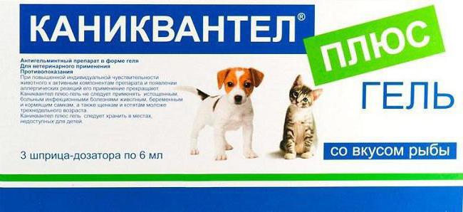от глистов каниквантел