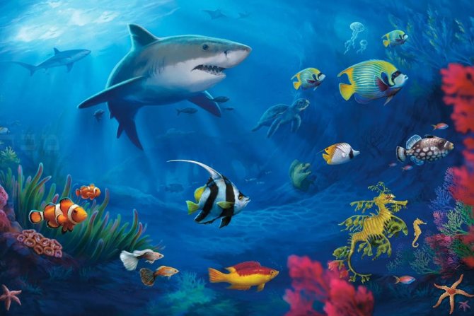 Удивительные и интересные рыбы океанов и морей